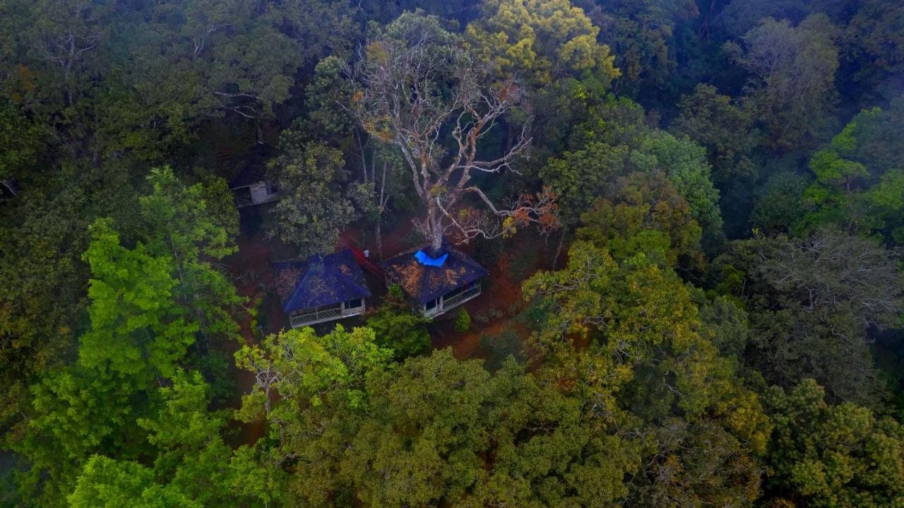מונאר Nature Zone Jungle Resort מראה חיצוני תמונה