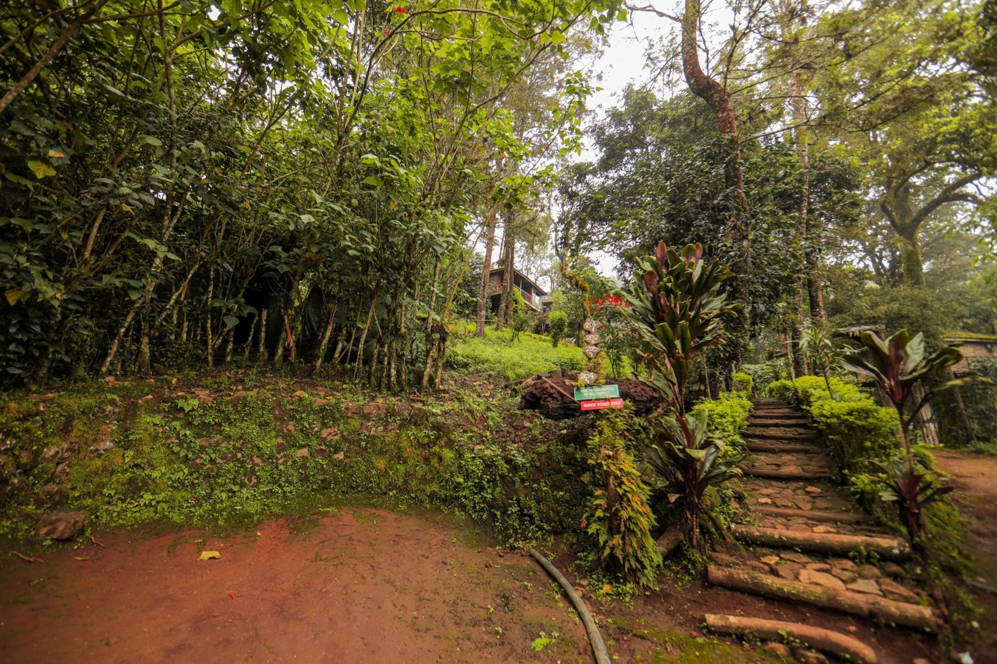 מונאר Nature Zone Jungle Resort מראה חיצוני תמונה